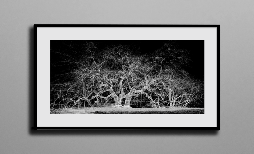 Le nuage de points au service de la nature et de l’art : une exposition virtuelle de 5 scans lasers par TAGLABS Le nuage de points au service de la nature et de l’art : une exposition virtuelle de 5 scans lasers par TAGLABS