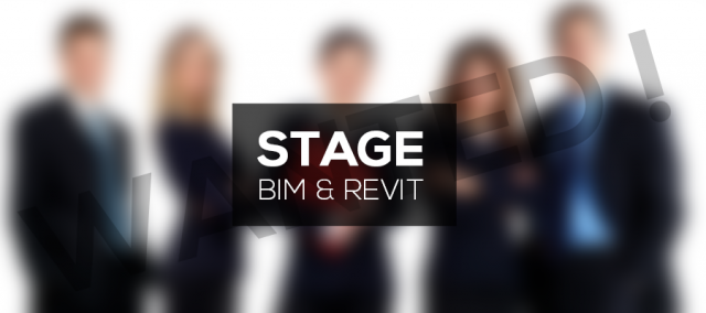 Stage BIM et Revit à Lyon !