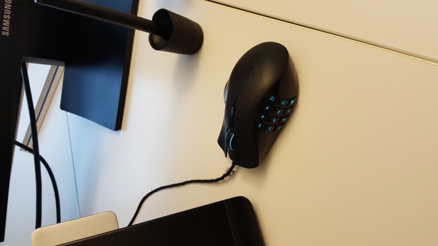 1564_mouse.jpg
