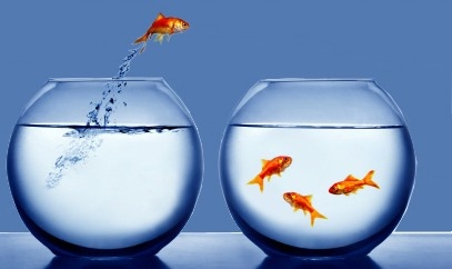 hexaBIM.com : Objectif 1000 membres BIM !