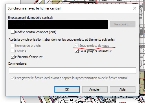 CaptureSynchro.jpg