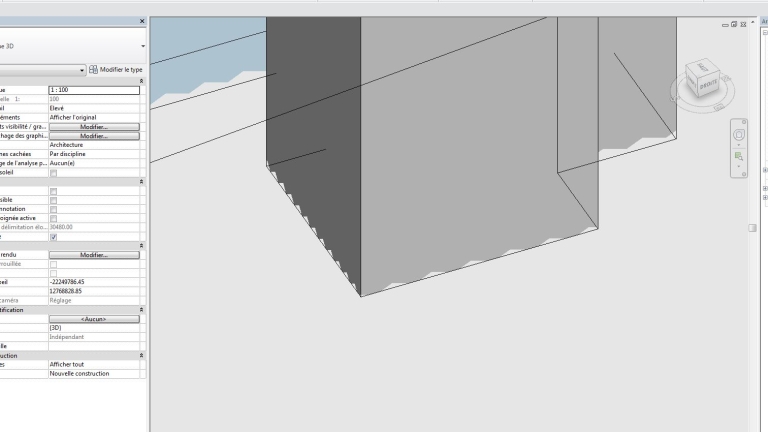 Problème d'affichage Revit