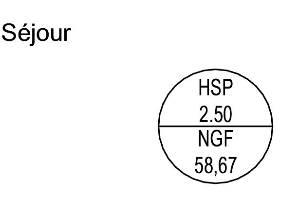 Etiquette combinée : HSP et NGF sur REVIT 2017
