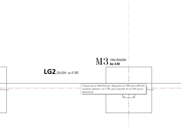 Arase étiquette - REVIT 2022