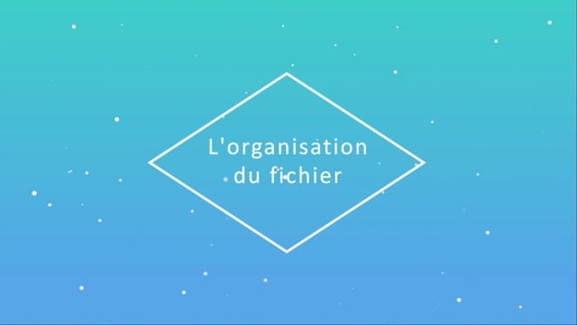 10 - L'arborescence du fichier : les 5 éléments clés