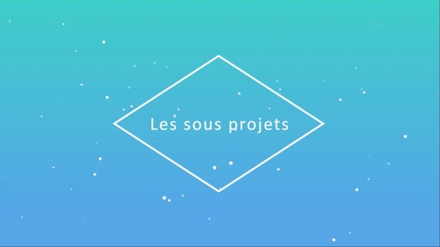 07 - Collaboration et sous projets