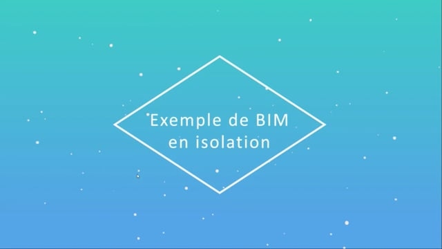 02 - BIM niveau 1